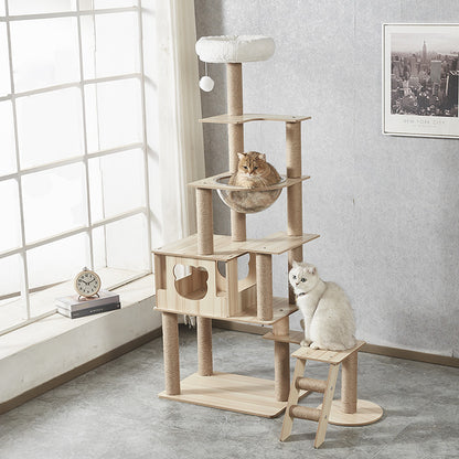 Cat climber is instinctive