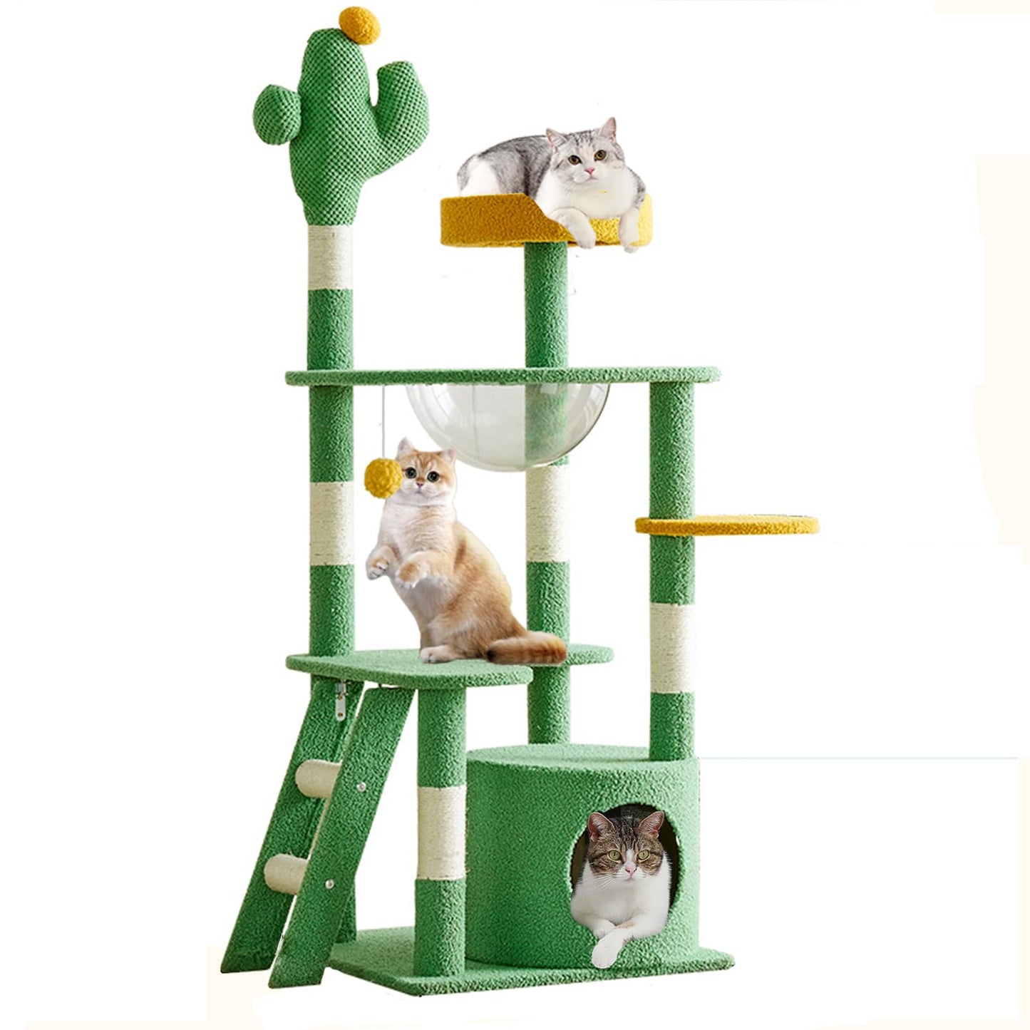 cat climbing tower