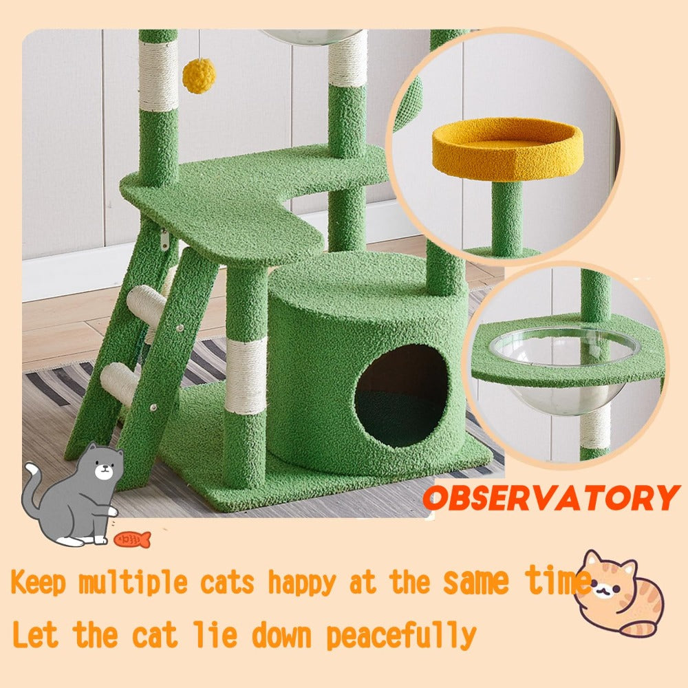 cat climbing tower